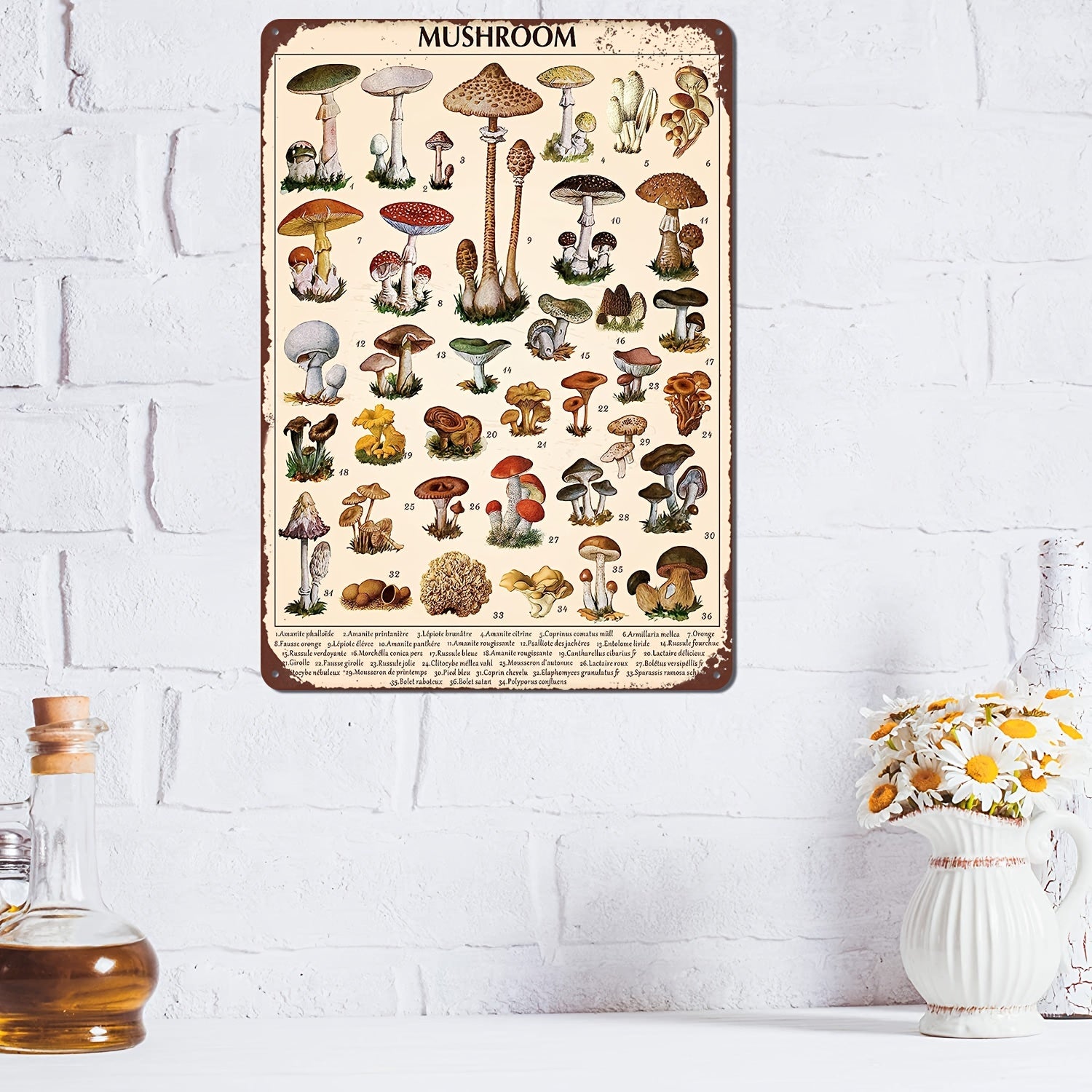 Guide d'identification des champignons vintage - Décoration murale rustique en métal, tableau pédagogique 8 x 12 pouces pour la maison et le bureau