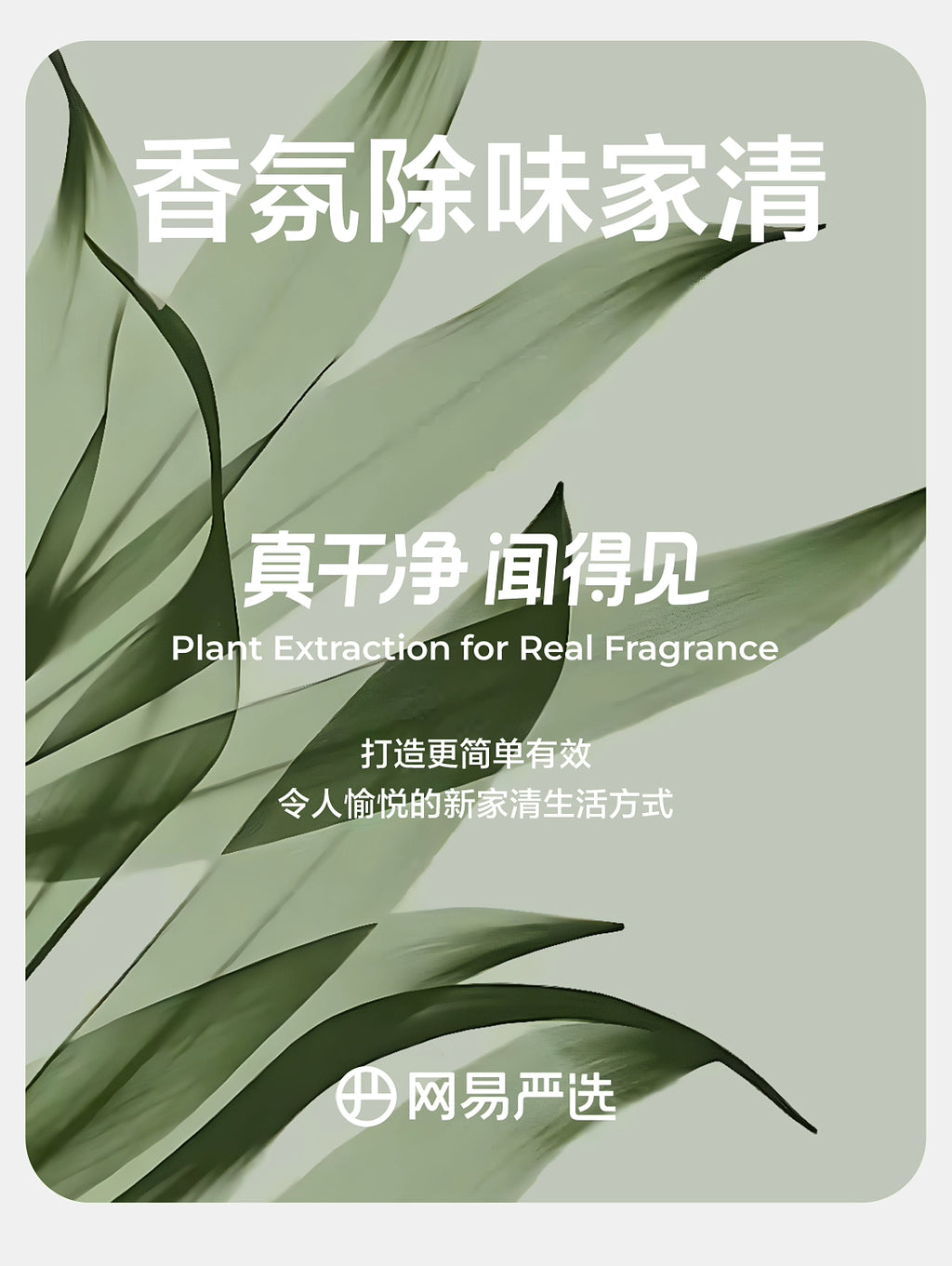 [Baibu] NetEase Yeation Air Freshener Toilet Fantastic Deodorant Fragrance Aromatherapy Lasting Fragrance
