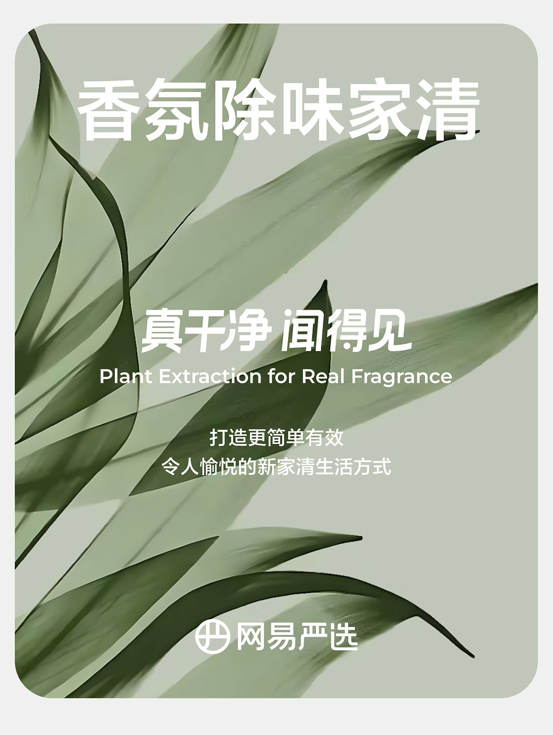 [Baibu] NetEase Yeation Air Freshener Toilet Fantastic Deodorant Fragrance Aromatherapy Lasting Fragrance