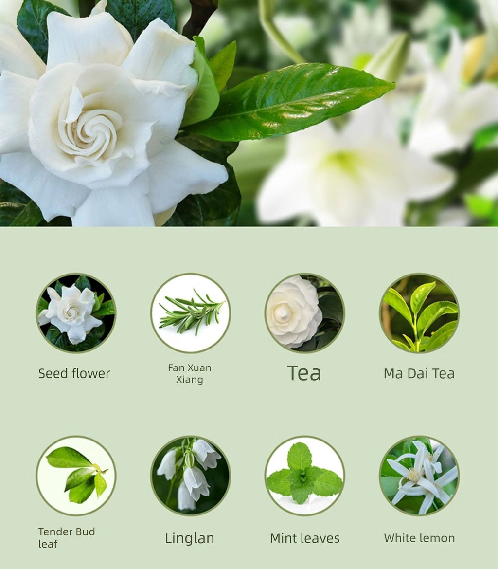 Spray Air Freshing Agent Toilet Deodorant Aroma Diffuser