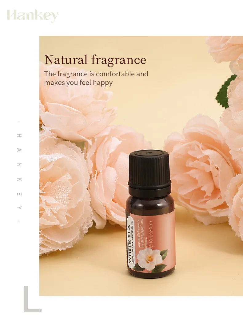 14 Lezzet 10ml Aroma Difüzör Hava Nemlendirici Ev Suda Çözünür Portakal Vanilya Gül Lavanta Koku Yağı için Esansiyel Yağlar