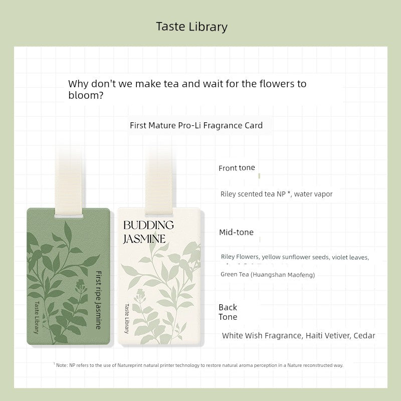 SCENT LIBRARY Long Lasting Fragrance Didi Car