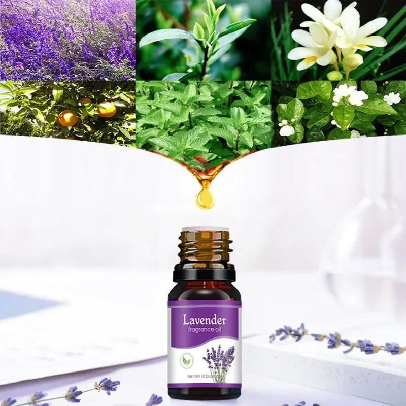 Car Perfume Water-soluble Air Freshener Aroma Diffuser Air Humidifier Essential Oils Freshener Scents Fragrance Oil Perfume 10ml