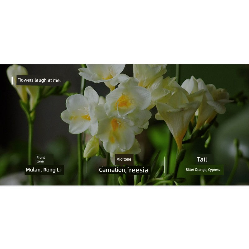 Applicable to Polar Krypton 7x 007 X Fragrance Replacement Refill Ceramic Geek Car Aromatherapy Lingke 0105 Star Yue L Boyue L