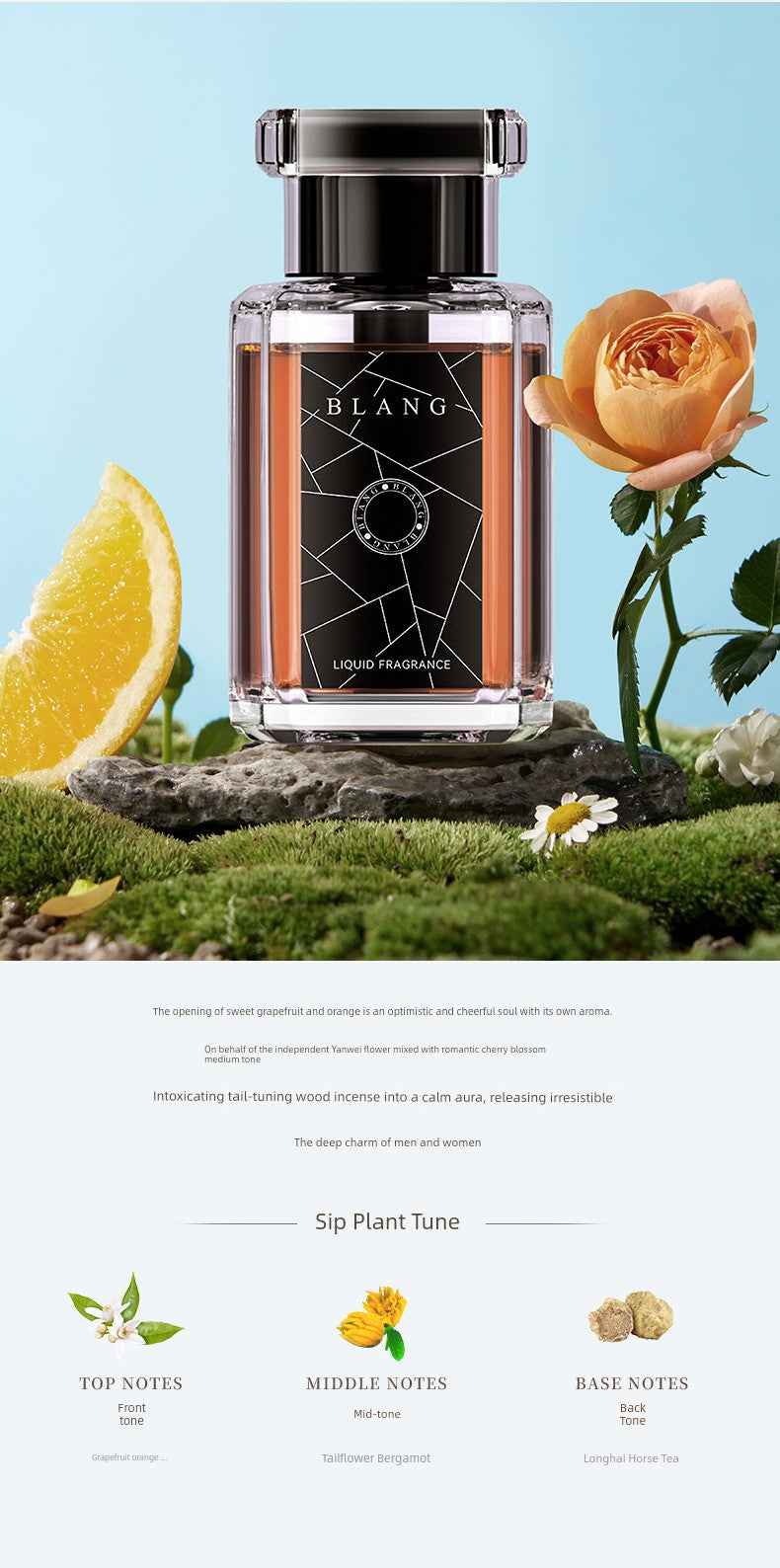 [Wilderness Ebony] Laiben Car Aromatherapy Perfume Car Fragrance 2024 New Arrival for Car Interior Lasting Fragrance Men
