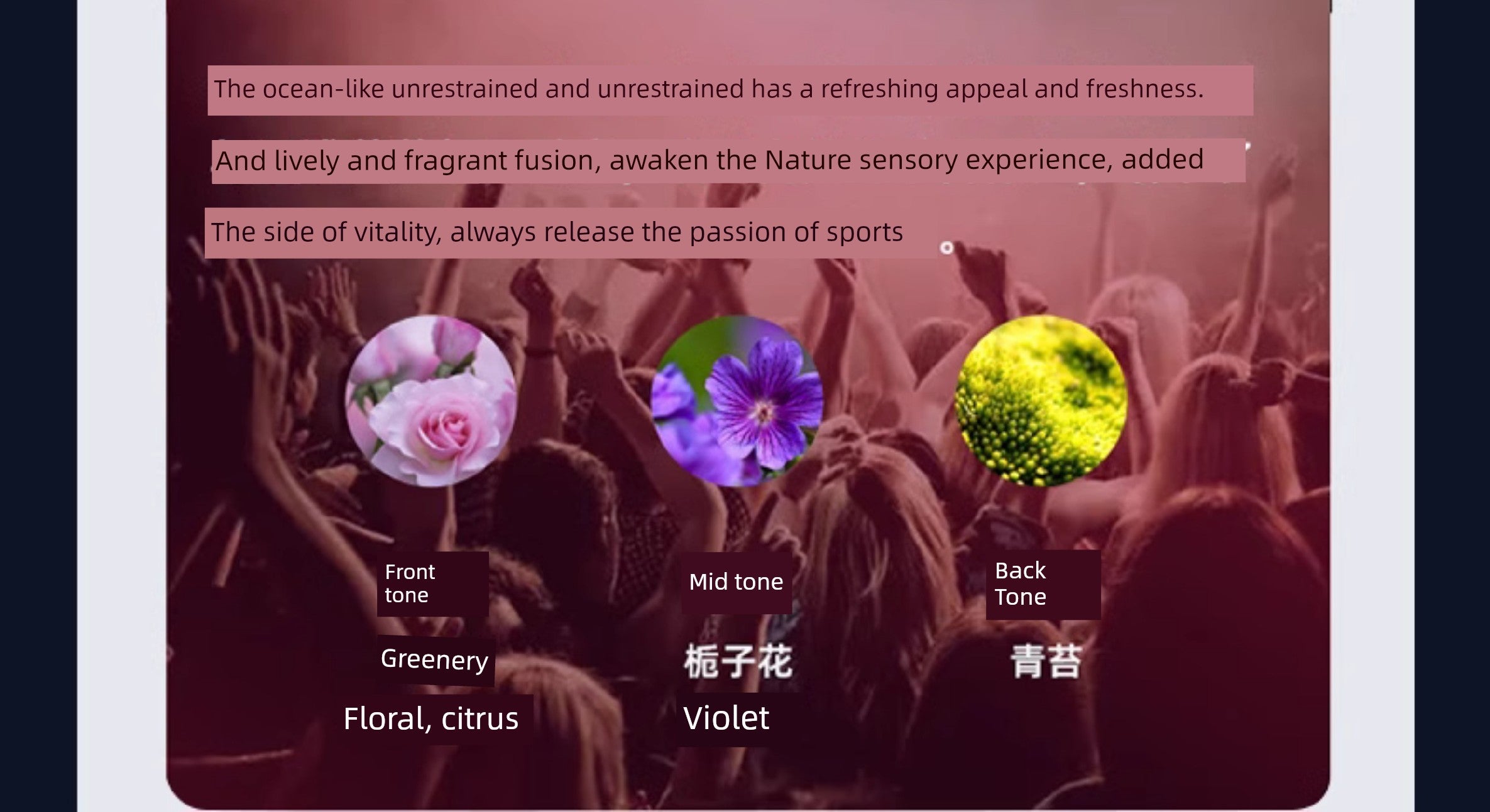 Restoration Negative Ion System Intelligent Car Fragrance