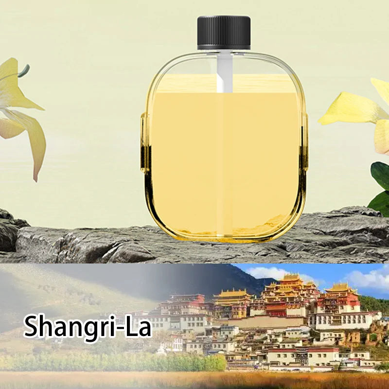 Air Diffuser Fragrance Humidifier Odor Removing Perfume Aromatherapy Essential Oil Diffuser Car Air Fresheners Aroma Dispenser