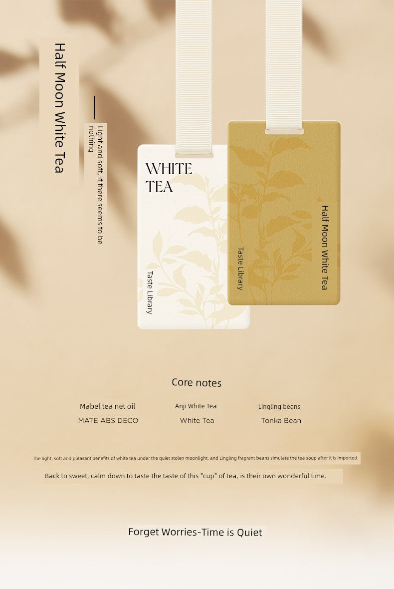 SCENT LIBRARY Long Lasting Fragrance Didi Car