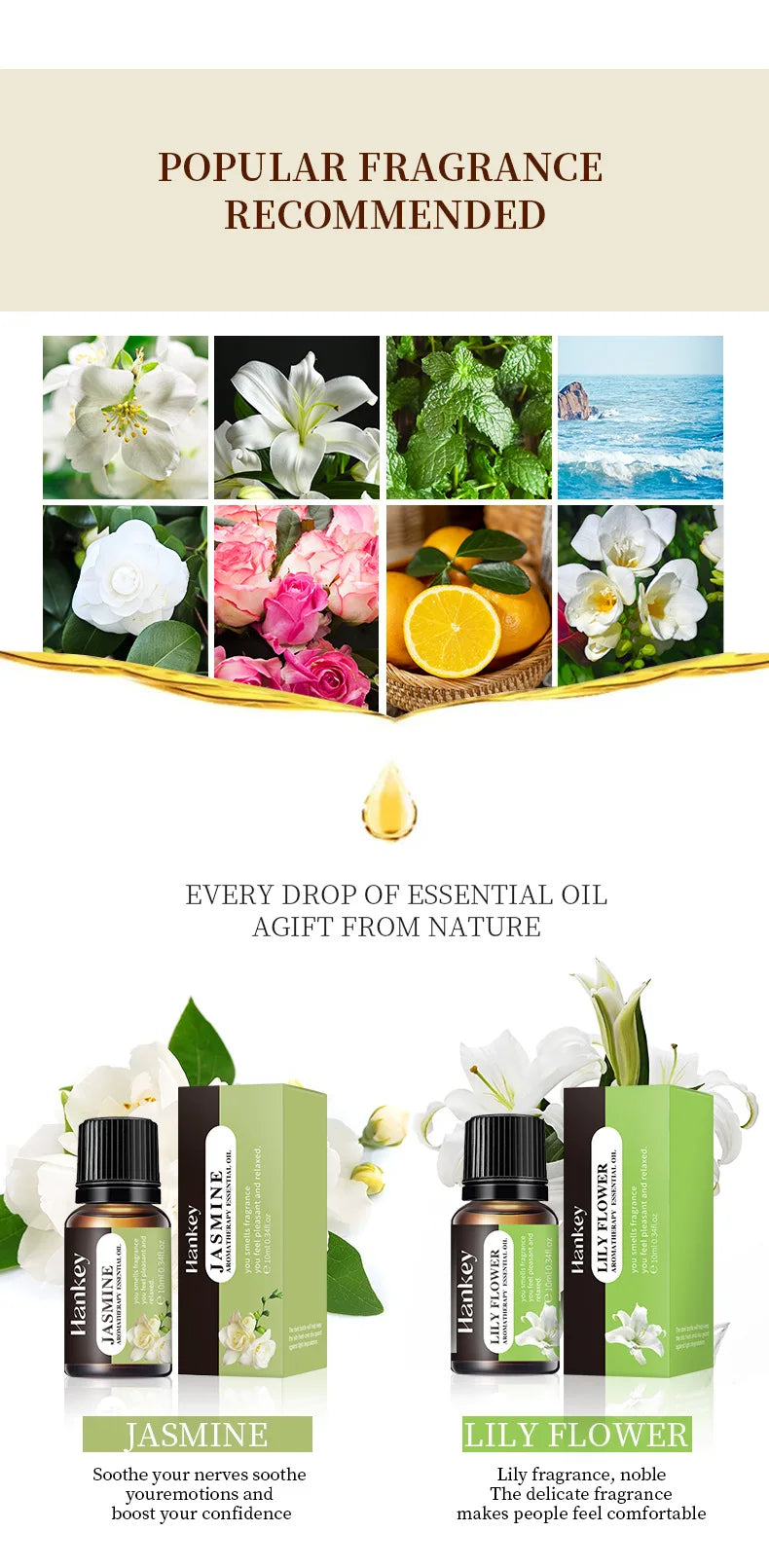 14 Lezzet 10ml Aroma Difüzör Hava Nemlendirici Ev Suda Çözünür Portakal Vanilya Gül Lavanta Koku Yağı için Esansiyel Yağlar